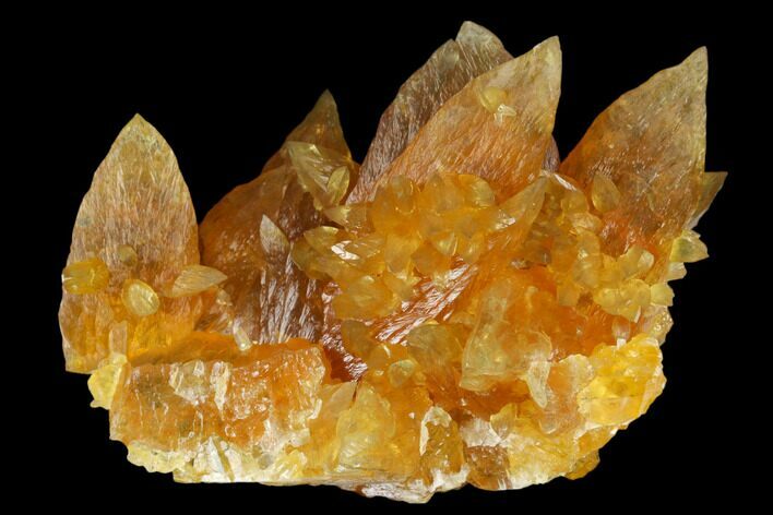 Amber-Yellow Calcite Crystal Cluster - Highly Fluorescent! #177295
